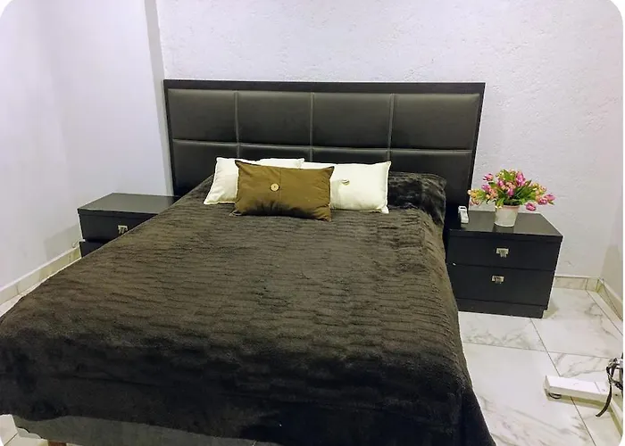 Apartment Cerca De Centro Citibanamex